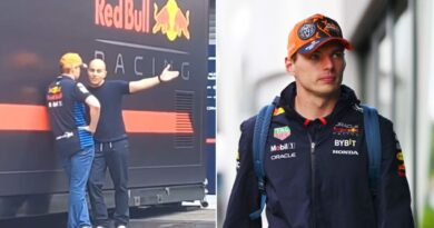 Max Verstappen pulled aside for intense chat with Red Bull engineer after Hungary saga | F1 | Sport