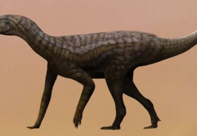 Scientists discover one of the oldest-ever fossils in major dinosaur origins breakthrough | World | News