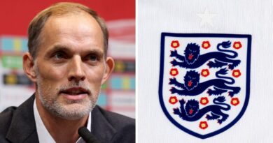 Should England have hired a German coach in Thomas Tuchel? Vote now | Football | Sport