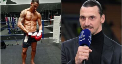 Zlatan Ibrahimovic ‘in talks over huge boxing bout’ and ex-Man Utd team-mate may join him | Football | Sport