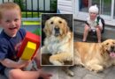 Service dog helps boy with rare genetic disorder achieve ‘unbelievable’ progress