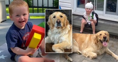 Service dog helps boy with rare genetic disorder achieve ‘unbelievable’ progress