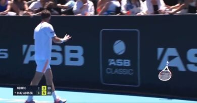 Cameron Norrie strikes spectator with racket but avoids disqualification in New Zealand | Tennis | Sport