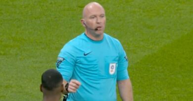 Newcastle goal ruled out vs Arsenal as referee stops game to make announcement | Football | Sport