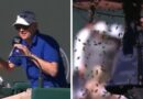 Indian Wells umpire recalls suspending match as 25,000 bees took over the court | Tennis | Sport