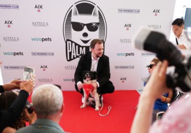 No scenery was chewed — Icelandic sheepdog awarded with ‘Palm Dog’ in Cannes