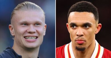 FPL injury update: Haaland, Alexander-Arnold, Maddison, Pedro, Trippier latest for GW36 | Football | Sport