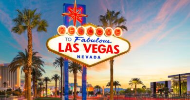 Las Vegas hotel bedbug infestations spark multiple lawsuits over ‘injuries’