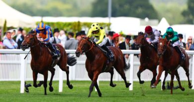 ‘I’m backing 18/1 and 25/1 shots to win – my Day One Royal Ascot tips | Racing | Sport