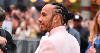 Lewis Hamilton close to realising huge F1 dream as FIA confirm ‘significant’ news | F1 | Sport