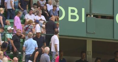 Alexander Zverev match halted by medical emergency as sign falls on fan’s head | Tennis | Sport