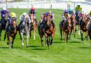 Royal Ascot horse Harry’s Girl dies as tragedy strikes in first race of the day | Racing | Sport