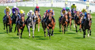 Royal Ascot horse Harry’s Girl dies as tragedy strikes in first race of the day | Racing | Sport