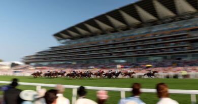 Royal Ascot Friday betting tips as 50/1 star can scoop big money again | Racing | Sport