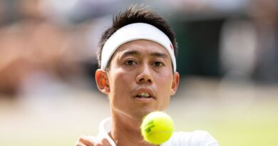 Wimbledon quarter-finalist issues awkward statement after cheating on wife with model | Tennis | Sport