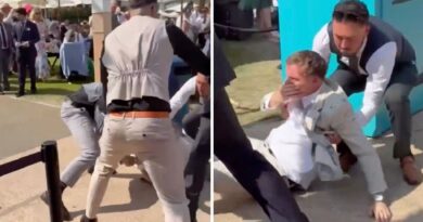 Bloody brawl breaks out at Royal Ascot as racegoers cry ‘stop, stop’ | Racing | Sport