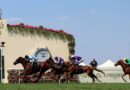 Royal Ascot results LIVE: Tips and racecard as jockey blasted over ‘terrible ride’ | Racing | Sport