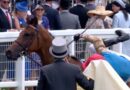 Royal Ascot jockey launched from winning horse post-race as chaos unfolds | Racing | Sport
