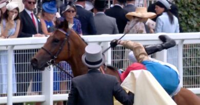 Royal Ascot jockey launched from winning horse post-race as chaos unfolds | Racing | Sport