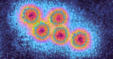 European health agency warns of hepatitis A spike affecting travelers