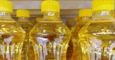 Debate heats up on seed oils as potential contributors to health issues