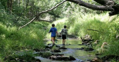 Radioactive Midwestern creek linked to higher cancer rates, study finds