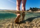 Florida reports 4 deaths from flesh-eating bacteria found in seawater