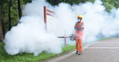 CDC warns Americans traveling to China as chikungunya virus is spreading rapidly