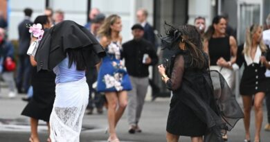 Horse racing crowd evacuated as race with King Charles horse postponed | Racing | Sport