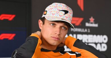 FIA told to ‘suspend Red Bull employee’ after targeting Lando Norris with brutal tactic | F1 | Sport