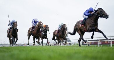 ‘Hawk Mountain can be best of Aidan O’Brien’s team’ says The Scout | Racing | Sport