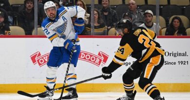 NHL fan fighting for his life after falling from stands celebrating goal | Other | Sport