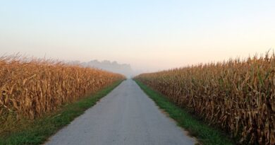 Cancer rates rising faster in Corn Belt states than rest of United States