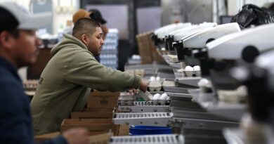 Georgia chicken farm reports bird flu outbreak affecting 140,000 birds
