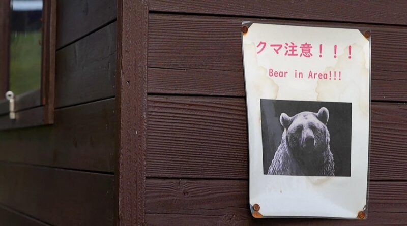 U.S. issues unusual warning to Americans in Japan: Beware of bear attacks U.S. issues unusual warning to Americans in Japan: Beware of bear attacks