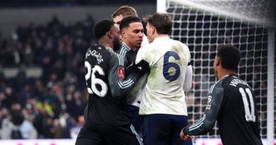 Tottenham and Aston Villa charged by FA after mass brawl as statement issued | Football | Sport