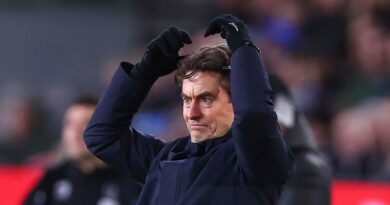 Ex-Tottenham star backs Harry Redknapp to replace Frank | Football | Sport