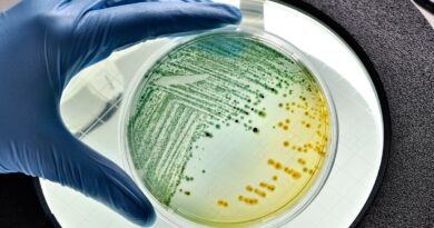 Microgravity research in space could help fight drug-resistant superbugs