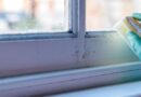Black mould will vanish from windows with 1 simple food item
