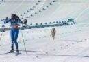 Runaway dog invades Winter Olympics event to steal show after escaping | Other | Sport