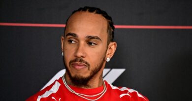 Lewis Hamilton shock career change he’d be ideal for despite F1 deal | F1 | Sport