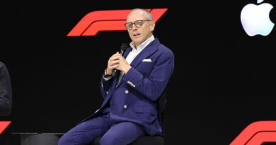 F1 chief breaks silence in wake of Verstappen and Norris criticism | F1 | Sport