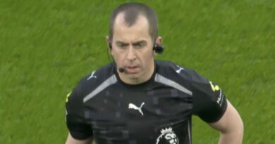 Tottenham vs Arsenal suddenly halted as referee calls players over | Football | Sport