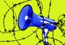 ICE sued after making house calls for online critics