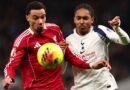 Liverpool have £57m reason to hope Tottenham get relegated after Fulham loss | Football | Sport