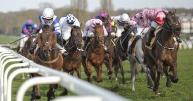 ‘This 14-1 shot can run well at Sandown’ – The Scout’s Saturday tips | Racing | Sport