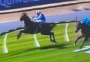 Horse crashes through railing while on verge of win as race ends in chaos | Racing | Sport