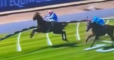 Horse crashes through railing while on verge of win as race ends in chaos | Racing | Sport