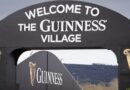 Cheltenham Festival make huge change to drinking rules as price of Guinness emerges | Racing | Sport
