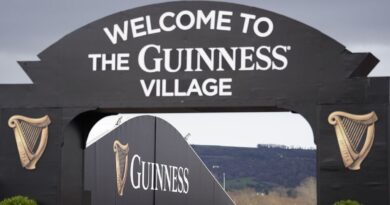 Cheltenham Festival make huge change to drinking rules as price of Guinness emerges | Racing | Sport